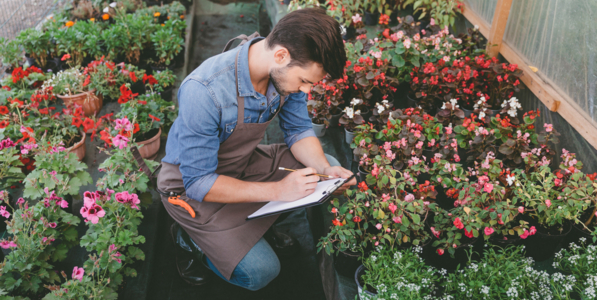 Ландшафтный дизайн и садово-парковое строительство